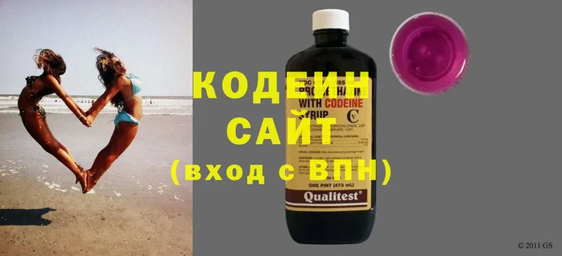 купить закладку  Александровск-Сахалинский  Codein Purple Drank 